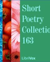 Short Poetry Collection 163 cover