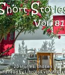 Short Story Collection Vol. 081 cover