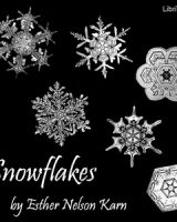 Snowflakes cover