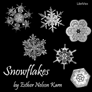 Snowflakes cover