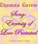 Song: Eternity of Love Protested cover