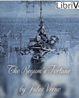 Begum's Fortune cover