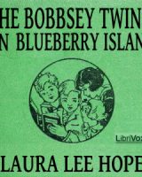 Bobbsey Twins on Blueberry Island cover