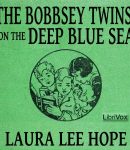 Bobbsey Twins on the Deep Blue Sea cover