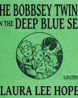 Bobbsey Twins on the Deep Blue Sea cover