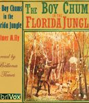 Boy Chums in the Florida Jungle cover