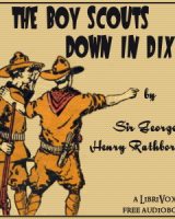 Boy Scouts Down in Dixie cover