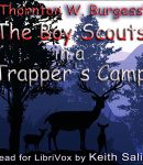 Boy Scouts in a Trapper's Camp cover