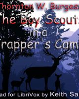 Boy Scouts in a Trapper's Camp cover