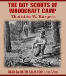 Boy Scouts of Woodcraft Camp cover