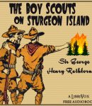 Boy Scouts on Sturgeon Island cover