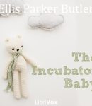 Incubator Baby cover