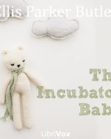 Incubator Baby cover