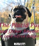 Placid Pug, and Other Rhymes cover