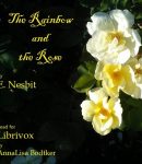 Rainbow and the Rose (Version 2) cover