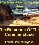 Romance Of The Commonplace cover