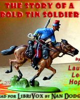 Story of a Bold Tin Soldier cover