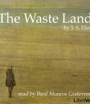 Waste Land cover