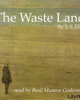 Waste Land cover