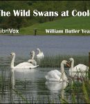 Wild Swans at Coole cover