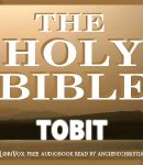 Bible (WEB) Apocrypha/Deuterocanon: Book of Tobit cover