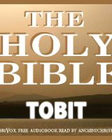 Bible (WEB) Apocrypha/Deuterocanon: Book of Tobit cover