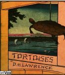 Tortoises cover