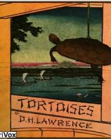 Tortoises cover