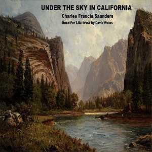 Under The Sky In California cover