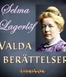 Valda berättelser cover