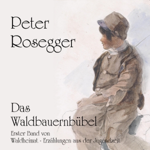 Waldbauernbübel cover