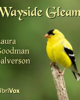 Wayside Gleams cover