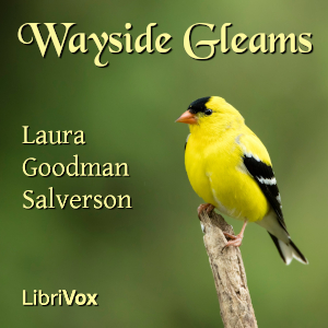 Wayside Gleams cover