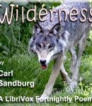 Wilderness cover