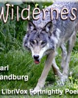 Wilderness cover