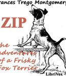 Zip, the Adventures of a Frisky Fox Terrier cover