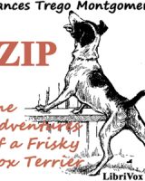 Zip, the Adventures of a Frisky Fox Terrier cover